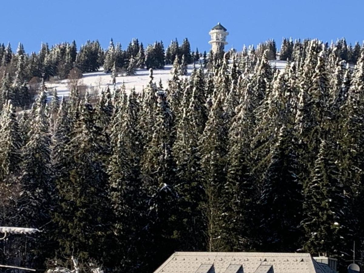 Appartamento H&P Touristik Residenz Grafenmatt Gra-3-1 Feldberg  Esterno foto