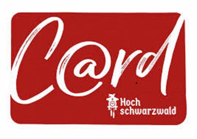 Appartamento H&P Touristik Residenz Grafenmatt Gra-3-1 Feldberg  Esterno foto